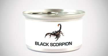 Edible Asian Forest Scorpion