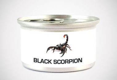 Edible Asian Forest Scorpion