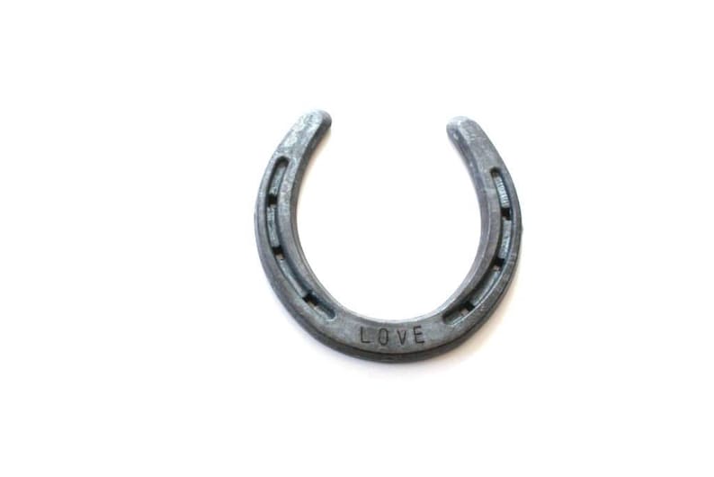 Personalized Horseshoe lucky horseshoe rustic wedding gift