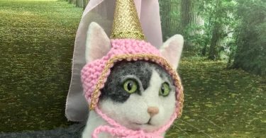 Princess hat hat for cats cat hat cat costumes cat photo