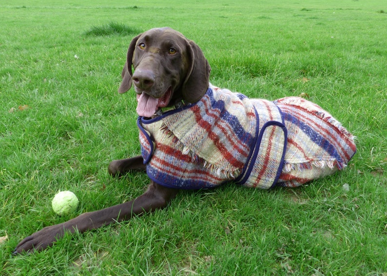 Large size dog winter coat made from 80% wool recycled