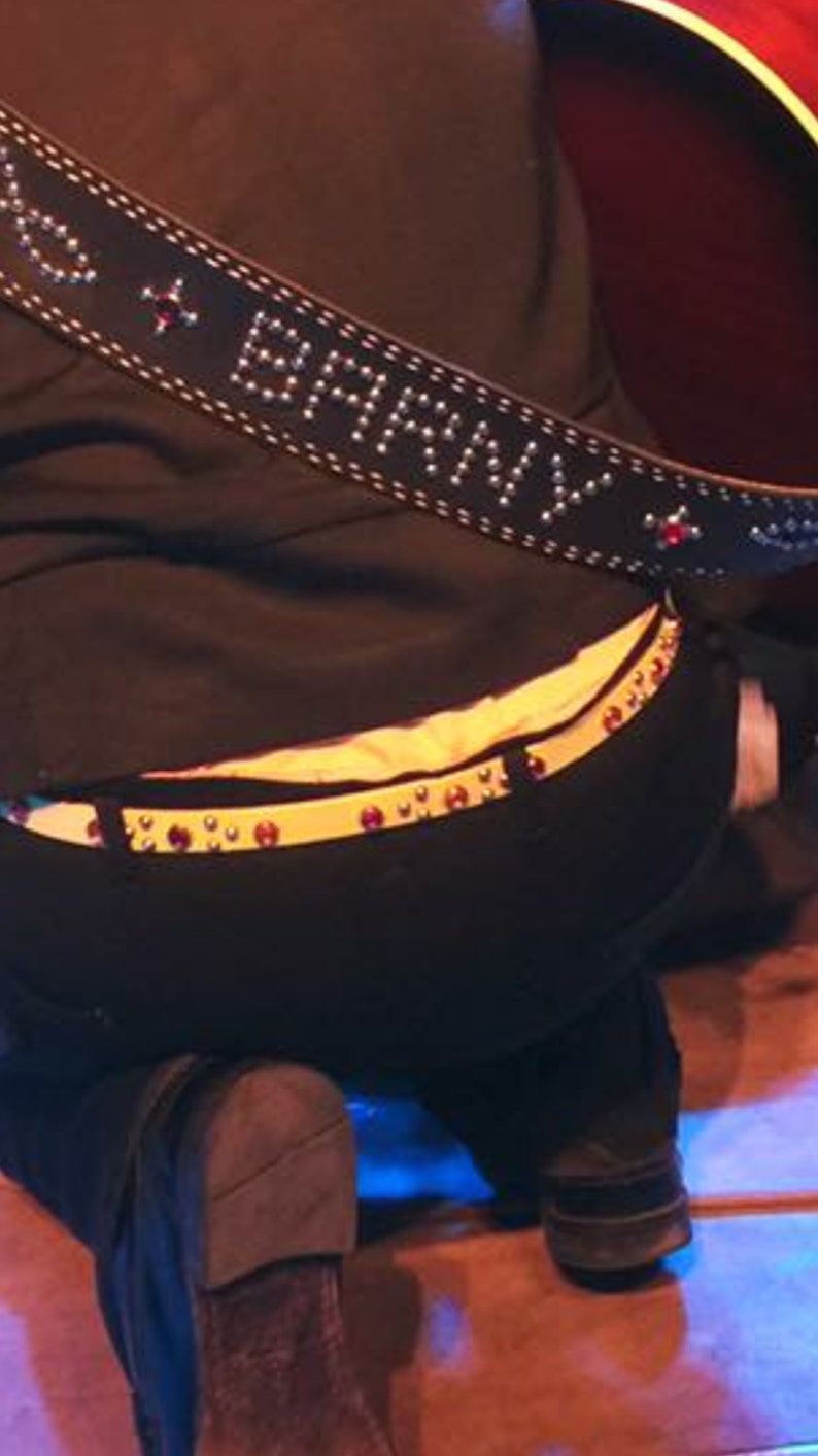 Guitar Strap   Design Open  Custom work