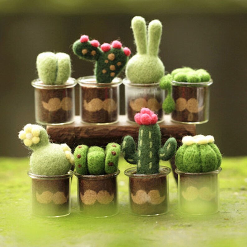 Mini Succulents Needle Felting KitDIY Felting CraftsBeginner