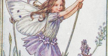 Flower Fairies: THE LAVENDER FAIRY Vintage Print c1930 by