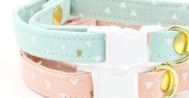 Laura Cat Collar with Breakaway Safety Buckle  Mint Green
