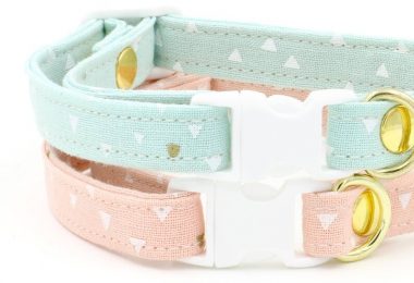 Laura Cat Collar with Breakaway Safety Buckle  Mint Green