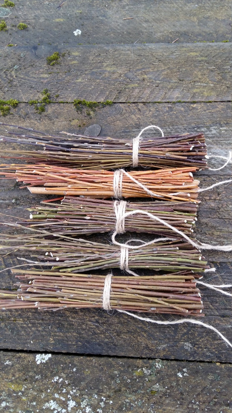 Sacred tree willow branches wood sticks bundle of tree twigs