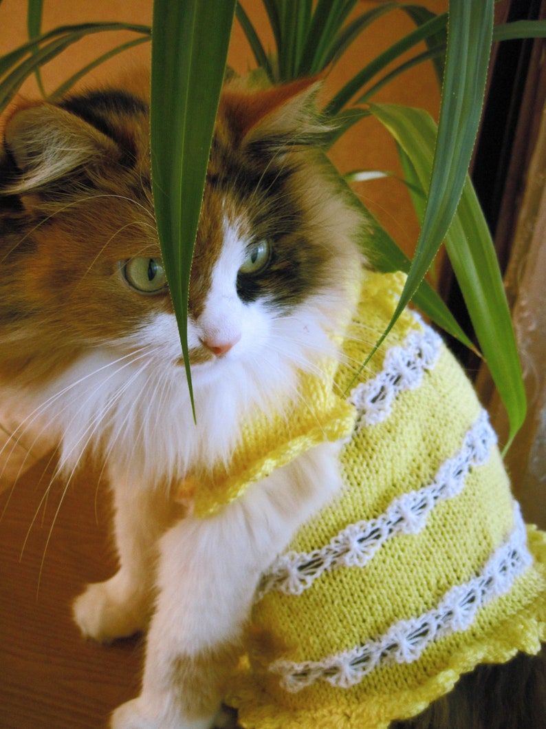 Knitted cat Clothing Pet Gift Pet Dresses cat sweater wedding