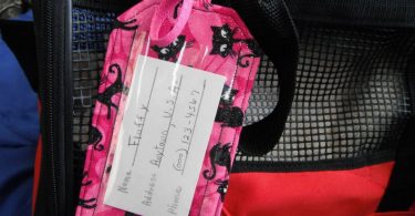 Pet Gifts  Small Pets I.D. Tags  Identification Tags