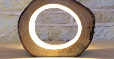 Small LED Log Light Table Lamp Desk Light Real Wooden Log