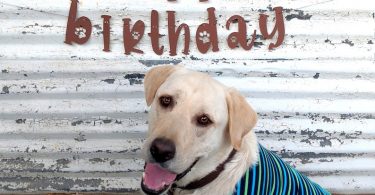 Dog Birthday Banner Doggie Birthday Party Dog Happy Birthday