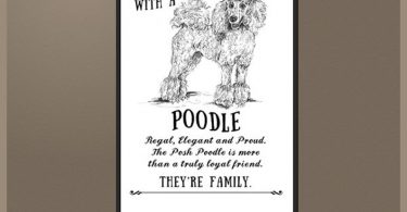 Poodle dog phone case cover iPhone Samsung  Can be