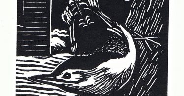 White Breasted Nuthatch Linoleum Block Print