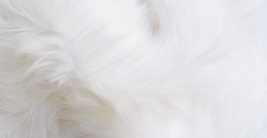 White Fur Fabric White Craft Fur White Fursuit Fur White